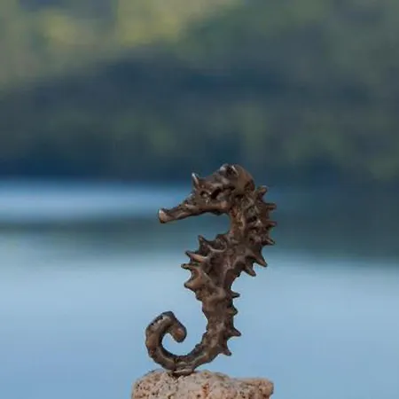 Bed & Breakfast Bruna Lastovo